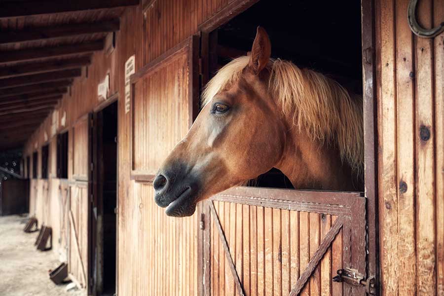 2407 Horse barn.jpg