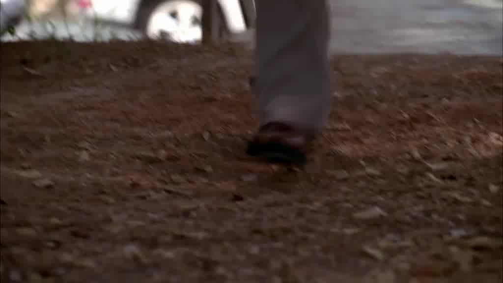 We see a man's shoes walking through the park.jpg