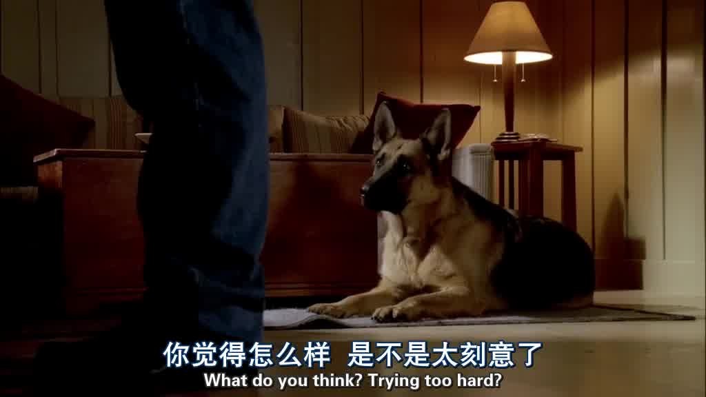 He turns to Bongo, who's lying on the floor watching him.jpg