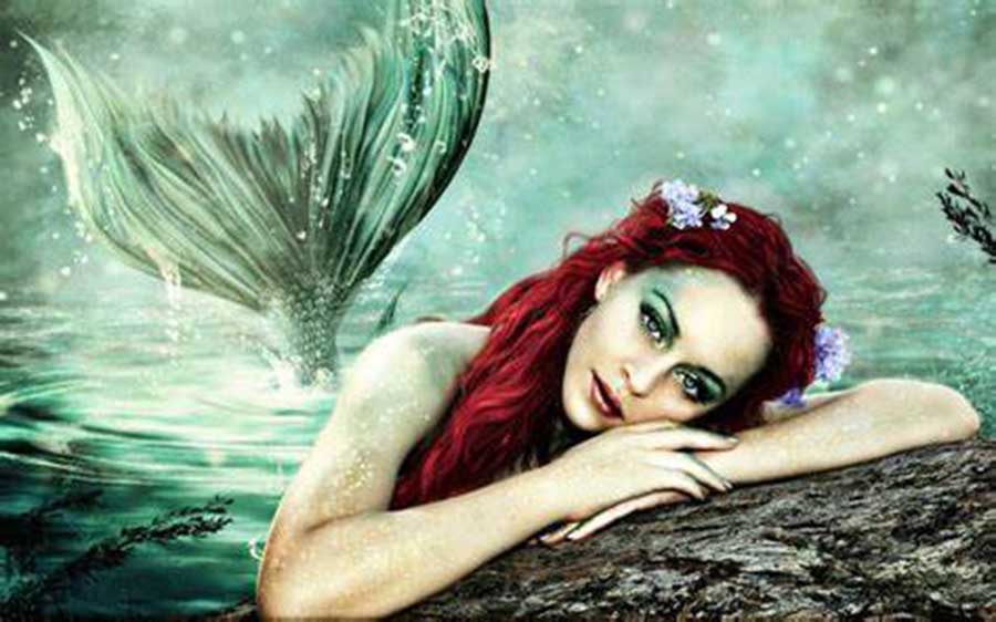 2507 mermaid 美人鱼.jpg