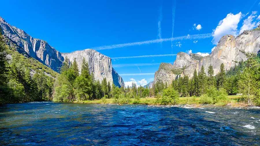 2507 Yosemite National Park is home to giant sequoias and has a rich wildlife.jpg