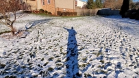 2507 Why Our Shadows Are Long In Winter