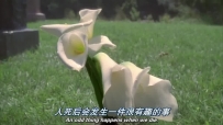 S01E02 An odd thing happens when we die