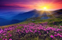 2507 the-best-place-to-focus-in-a-landscape