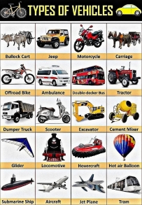 Bullock Cart
