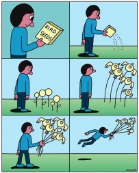 To grow birds with seeds