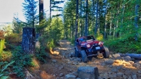 2507 tillamook_state_forest