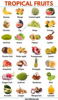 2406 Tropical Fruits