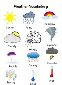 Weather