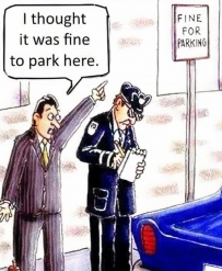 2406 I thought it was fine to park here