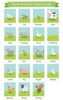 Farm Animals