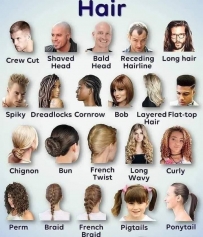 Hair