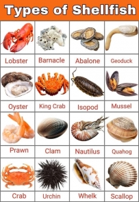 Types of shellfish