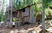 2507 Wild Kids - Wikipedia