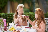 2507 Two lovely girls at tea party