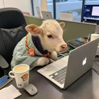 Is it animals or society that has made progress？