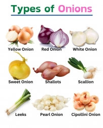 Types of Onions