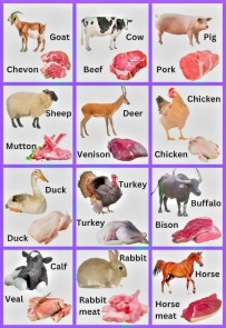 Types of meat