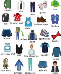 Clothes