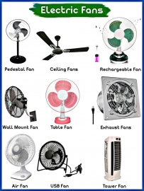 Pedestal fan