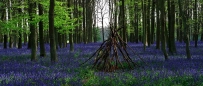 2507 Ashridge Park, Hertfordshire, UK
