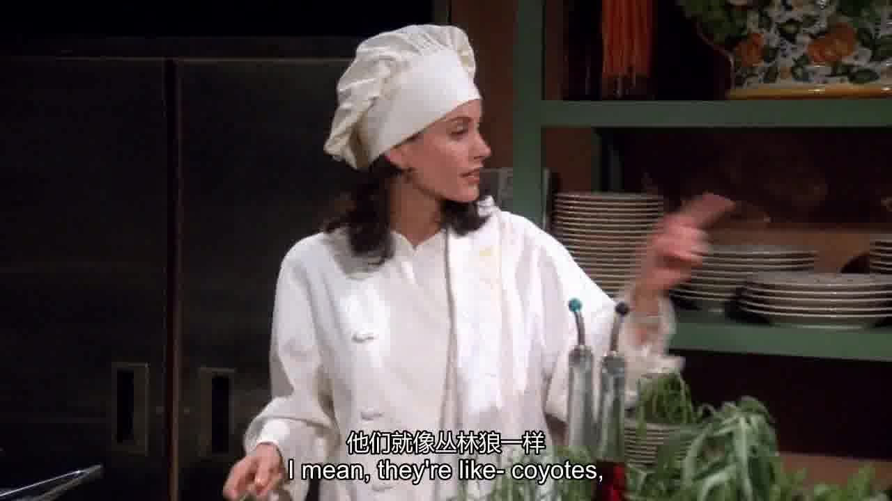 I mean,they're like coyotes.jpg