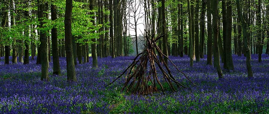 2507 Ashridge Park, Hertfordshire, UK.jpg