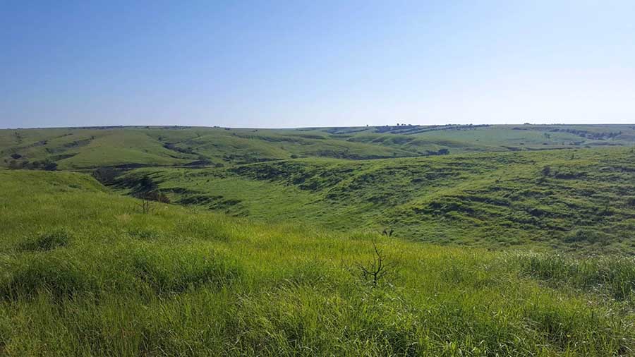 2507 The Last Continuous Grasslands on Earth.jpg