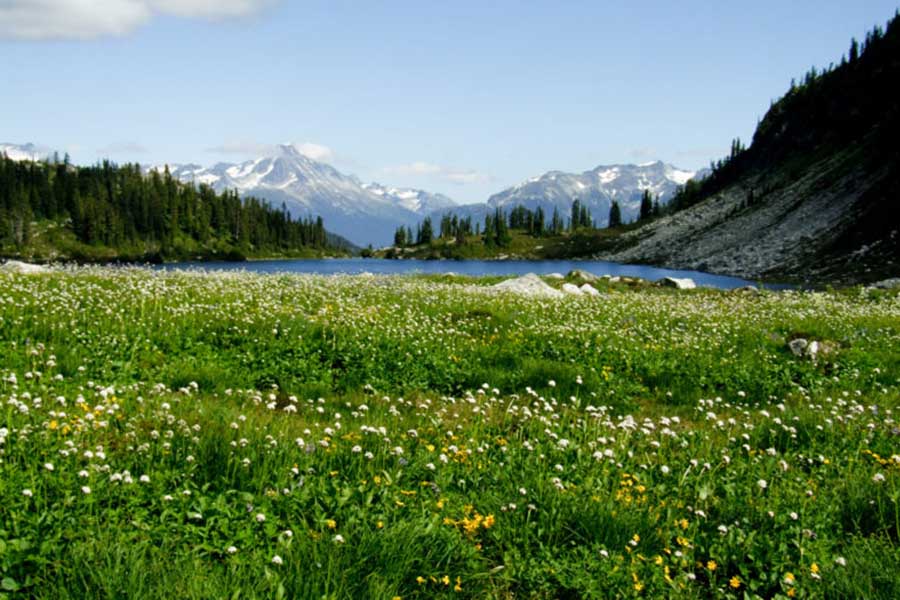 2507 The rainbow lake is a rare place that combines forest, lake and mountains..jpg