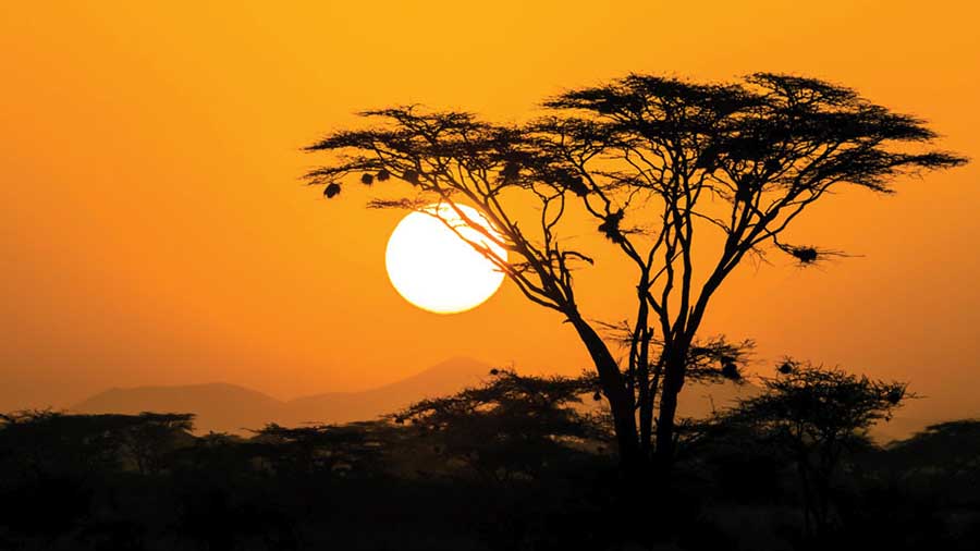 2507 The rising sun-Spotlight on Africa.jpg