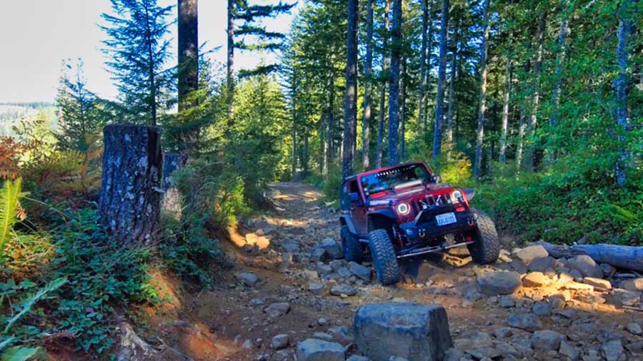 2507 tillamook_state_forest.jpg