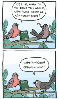2406 What do you think this book is