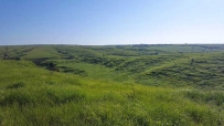 2507 The Last Continuous Grasslands on Earth