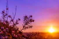 2507 sunset-in-australia-source