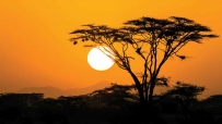 2507 The rising sun-Spotlight on Africa