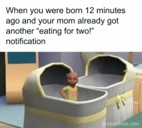2406 When you were born 12 minutes ago