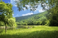 2507 summer-landscape-with-river