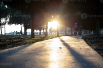 2507 Sun glare and tree shadows reflecting on the walkway through the trees