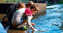 2507 Teach Children to Explore the Wild