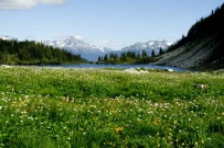 2507 The rainbow lake is a rare place that combines forest, lake and mountains.