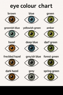 2507 Eye color chart