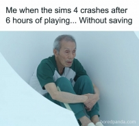 2406 Me when the sims 4 crashes after 6 hours of paying, without saving